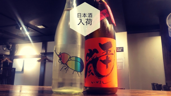 日本酒入荷2023.6.26
