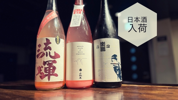 日本酒入荷2024.3.25