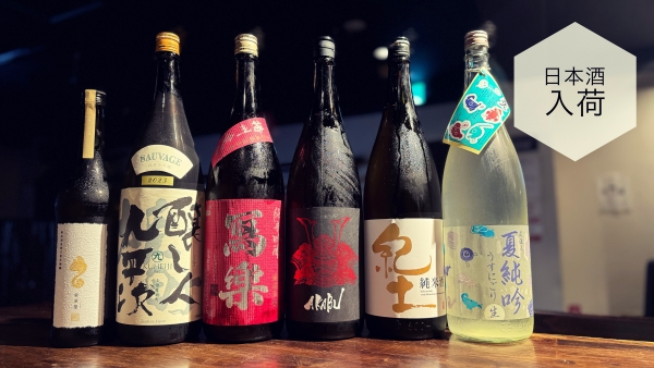 日本酒入荷2024.6.19