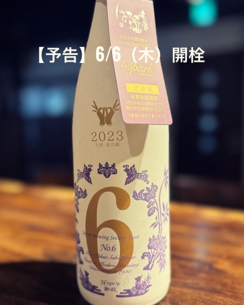 新政　No.6 H-type Spark 2023