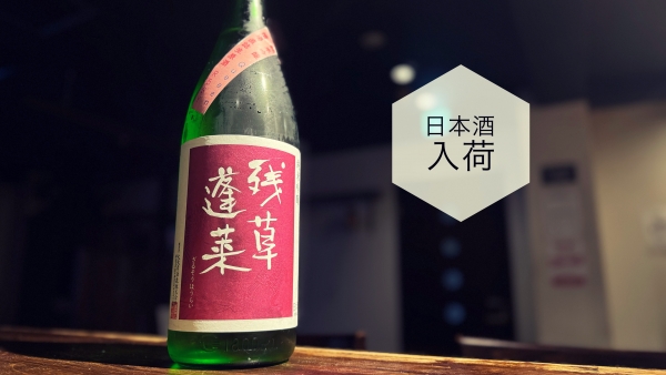 日本酒入荷2024.6.17