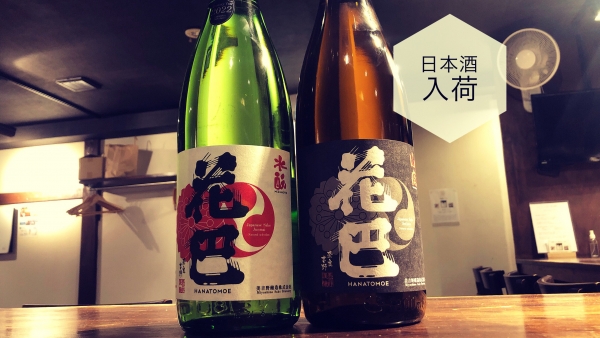 日本酒入荷2023.11.20