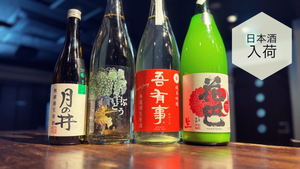 日本酒入荷2024.4.19